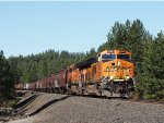 BNSF 4222